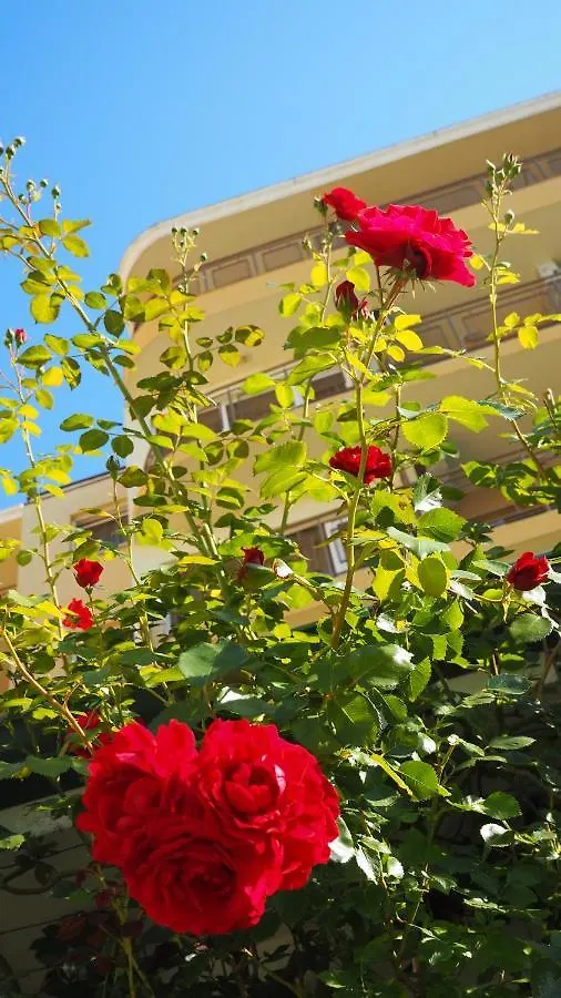 Joya Park Apartments Golden Sands